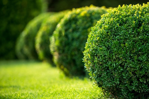 Gartenpflege & Sonderleistungen